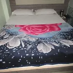 Hotel Sai Palace