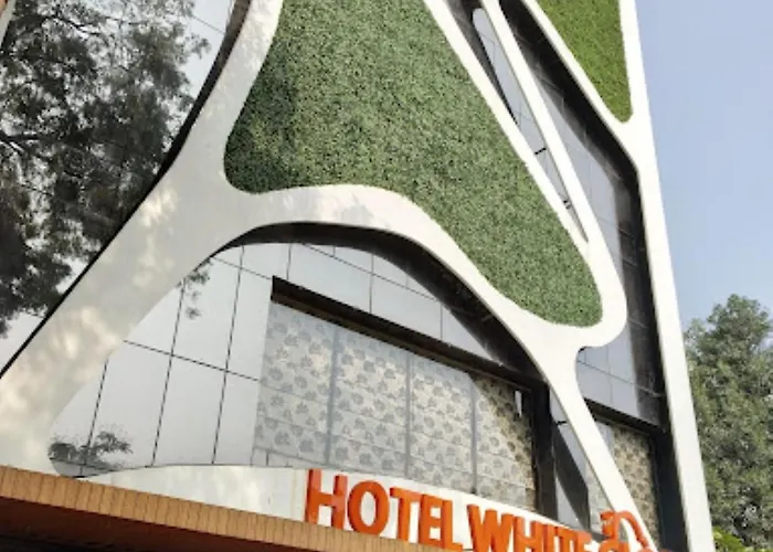 Hotel White Cloud Ahmedabad
