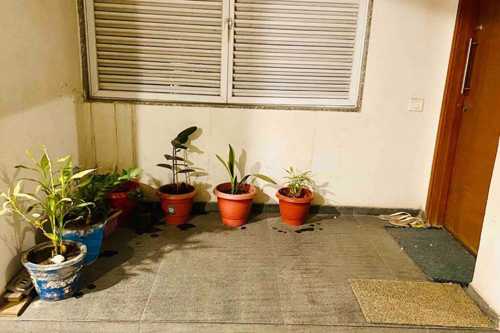 1304 Premium And Fully Furnished * Ahmedabad