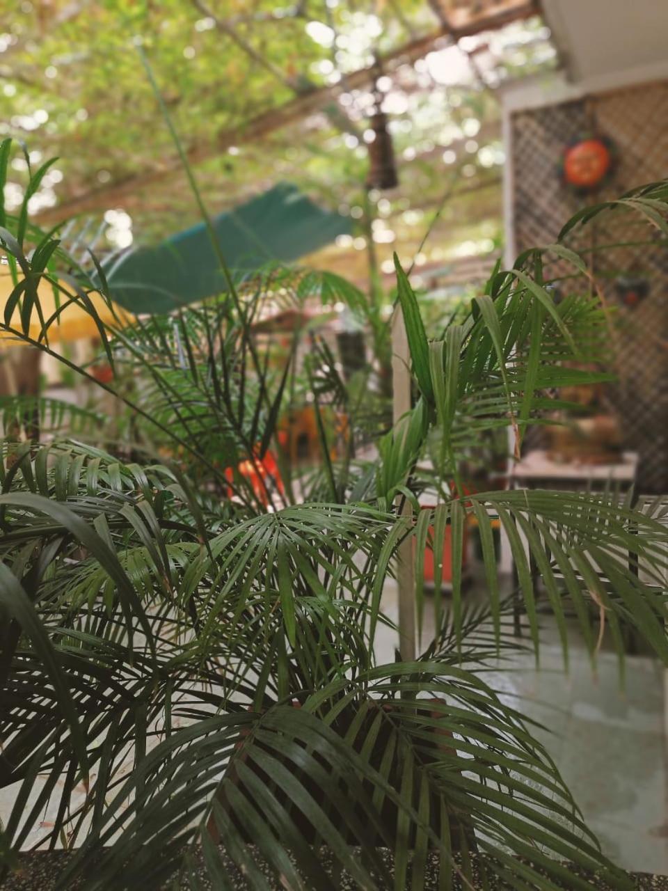 Srinekatan Heritage Homestay Guest house *