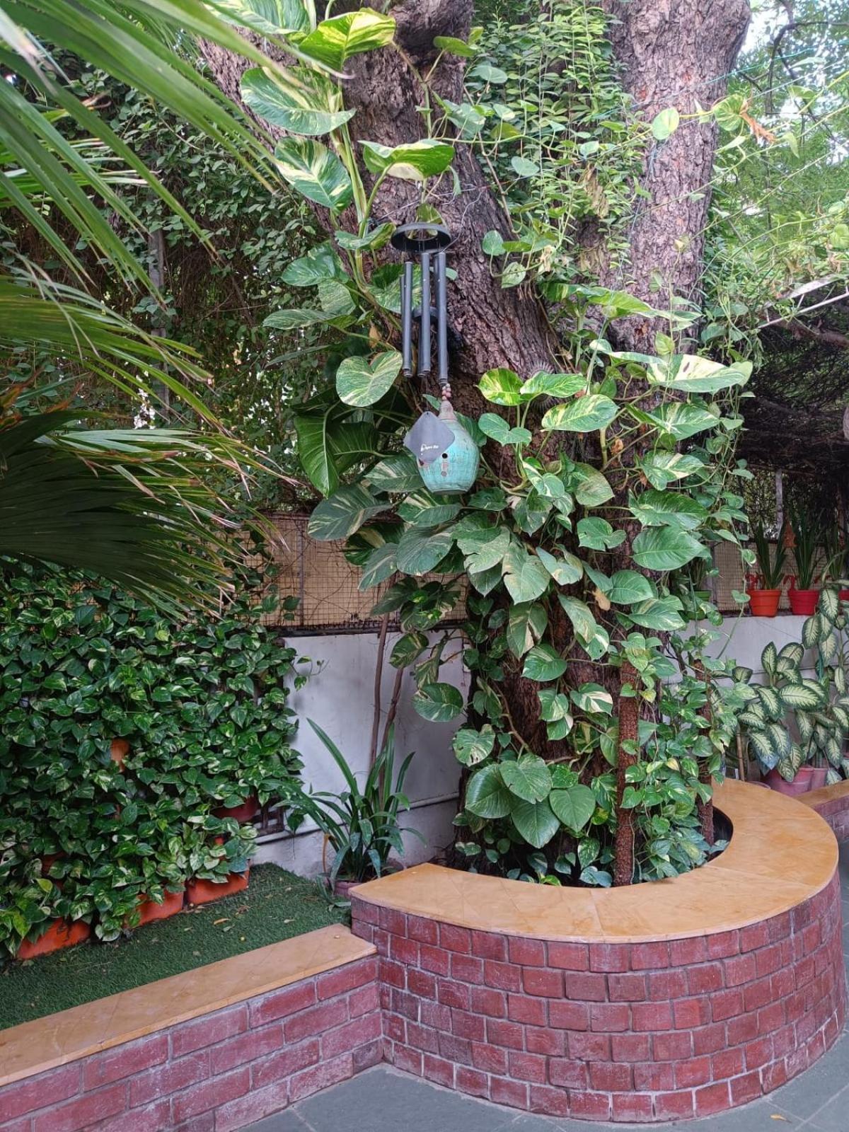 Srinekatan Heritage Homestay Guest house Ahmedabad