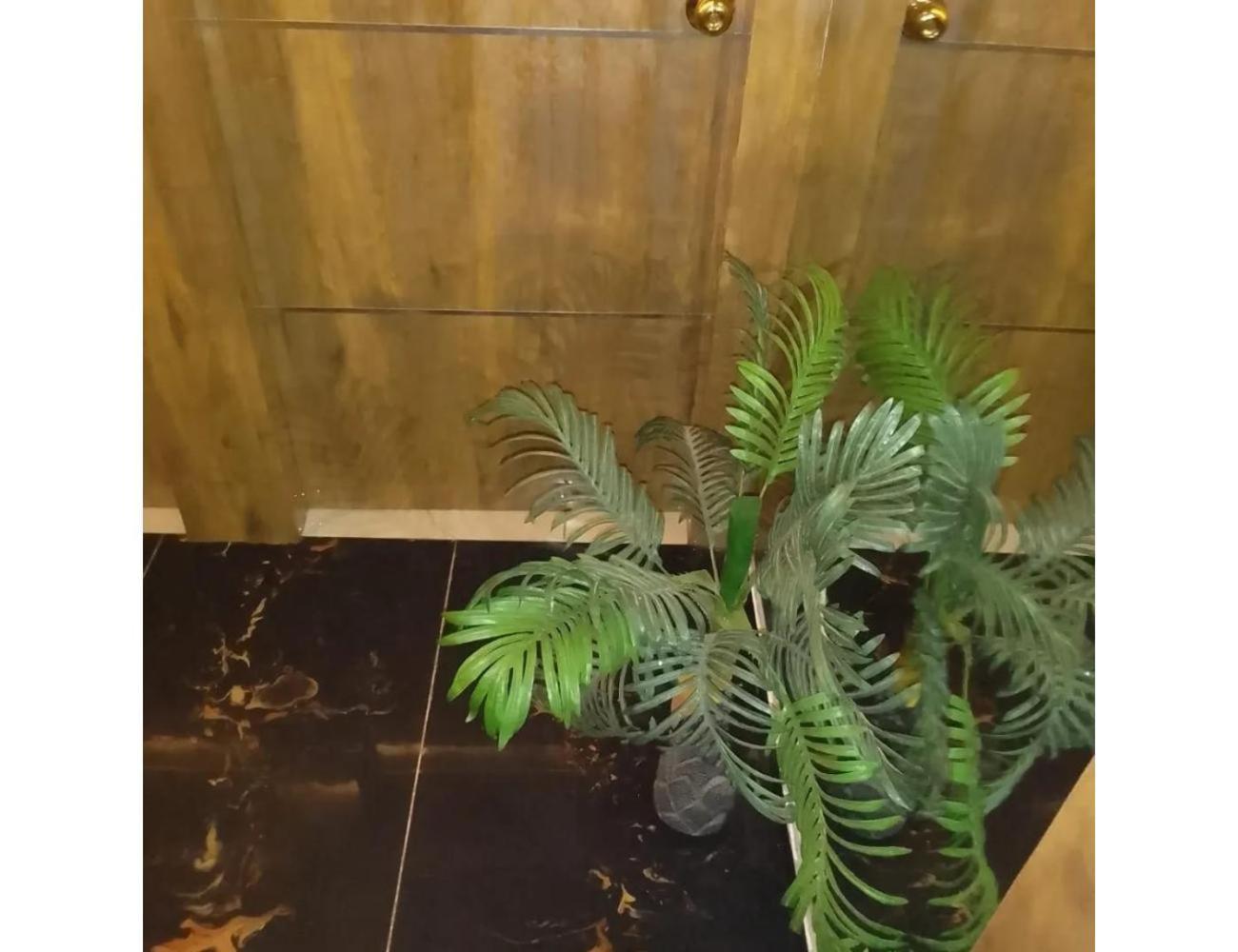 Bhavya Mansion, Homestay Ahmedabad
