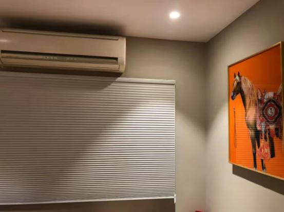 Apartment 3 Bhk Luxurious Homestay *