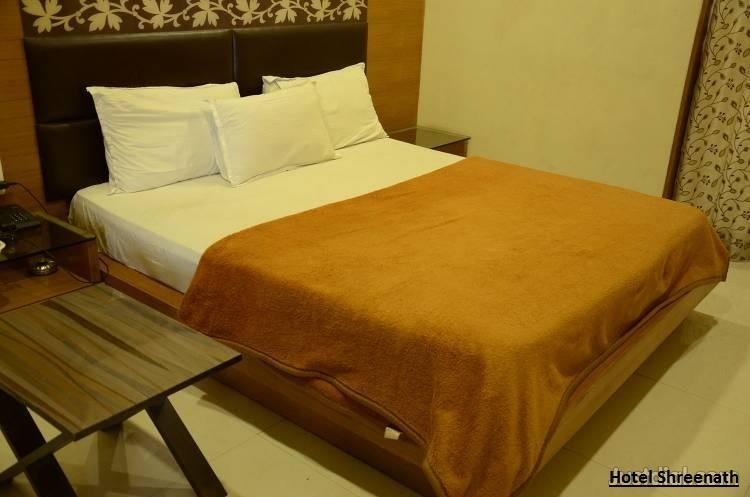 Hotel Shreenath 2*