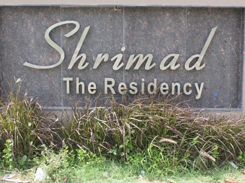Treebo Trend Shrimad Residency Ahmedabad