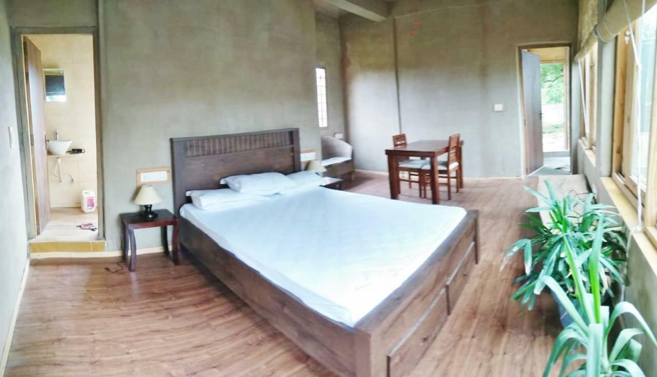 Guest house Casa Amba *