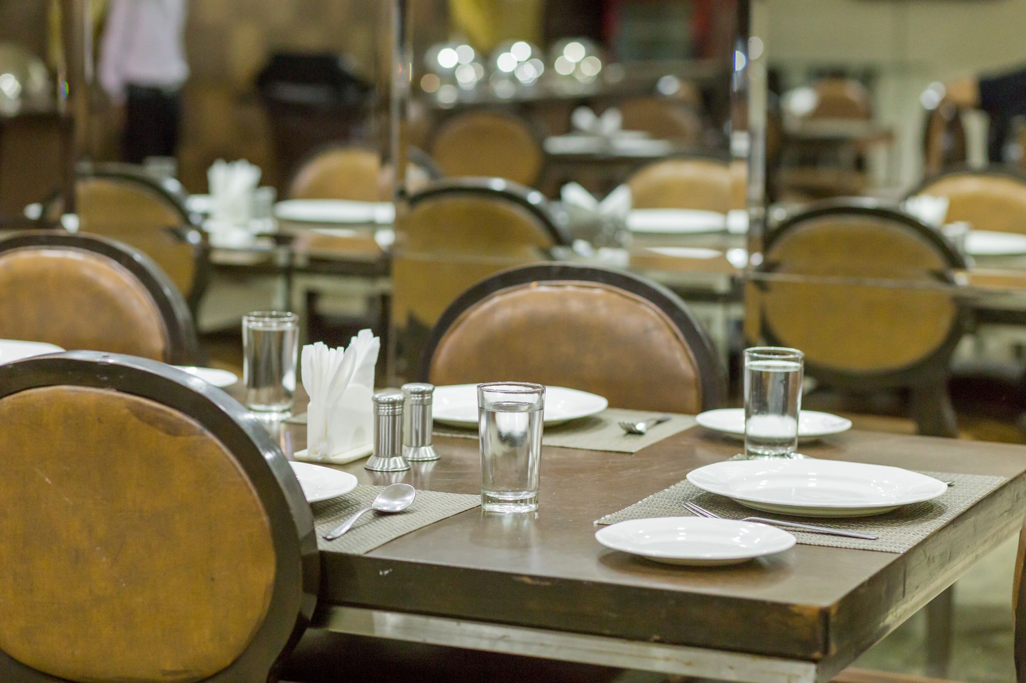 Hotel The Silver Leaf Ahmedabad