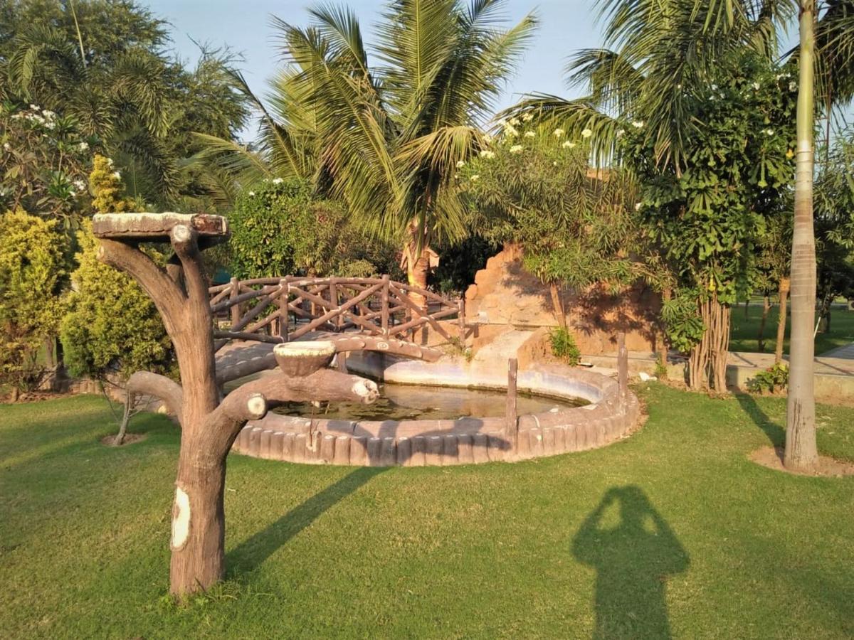 Royal Club & Ahmedabad
