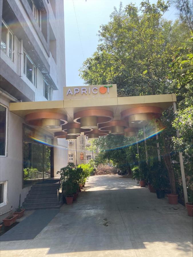 Apricot , 3* Ahmedabad