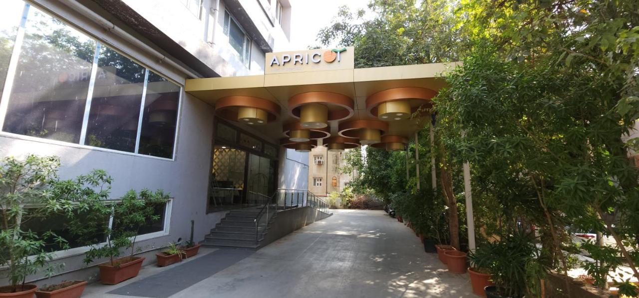 Apricot , 3*