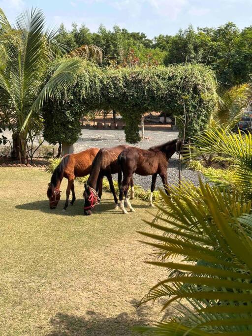 Holiday home Serene In The Lap Of Nature Ahmedabad