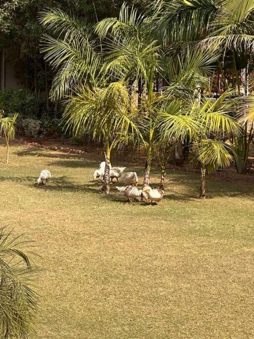 Serene In The Lap Of Nature Ahmedabad