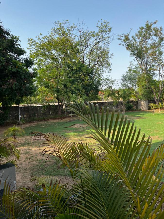 Serene In The Lap Of Nature *