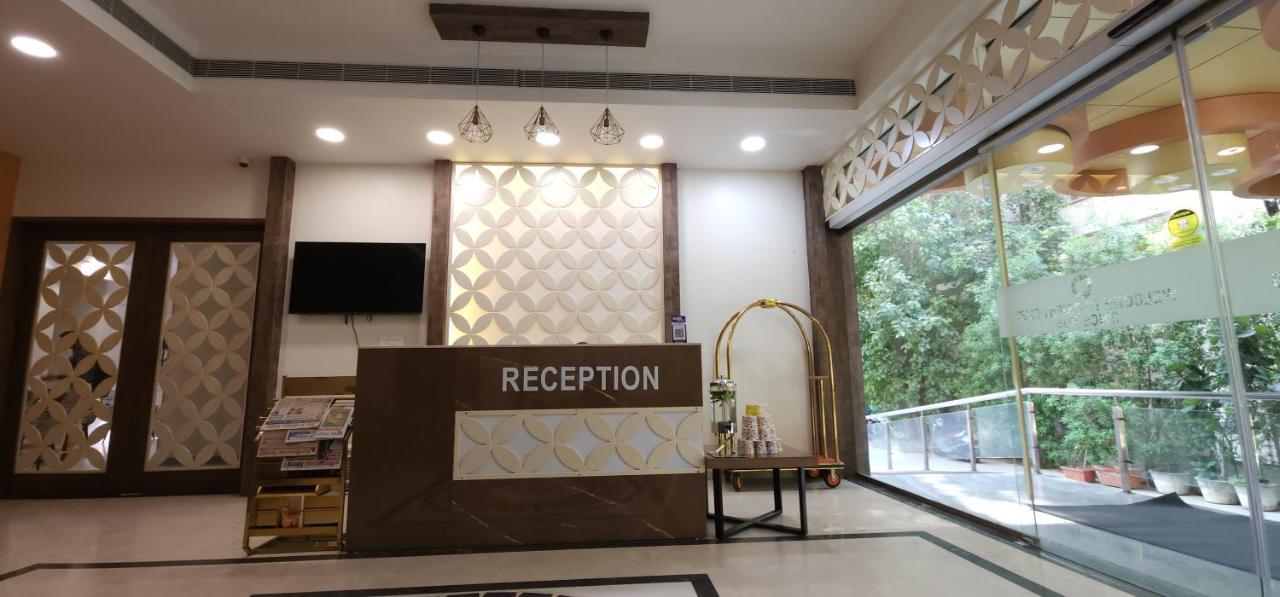 Apricot , Ahmedabad