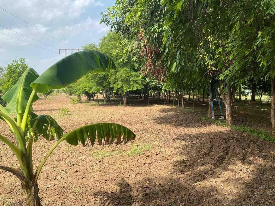 Holiday home Serene In The Lap Of Nature Ahmedabad