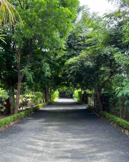 Serene In The Lap Of Nature *