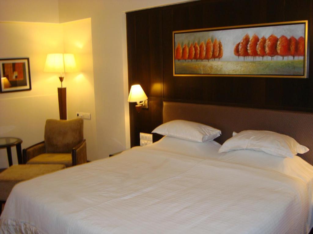 The President-a Boutique 3* Ahmedabad