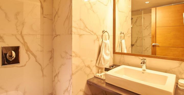 Hotel The President-a Boutique Ahmedabad